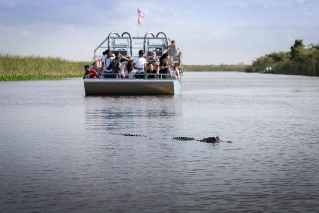 Sortie aux Everglades depuis Miami