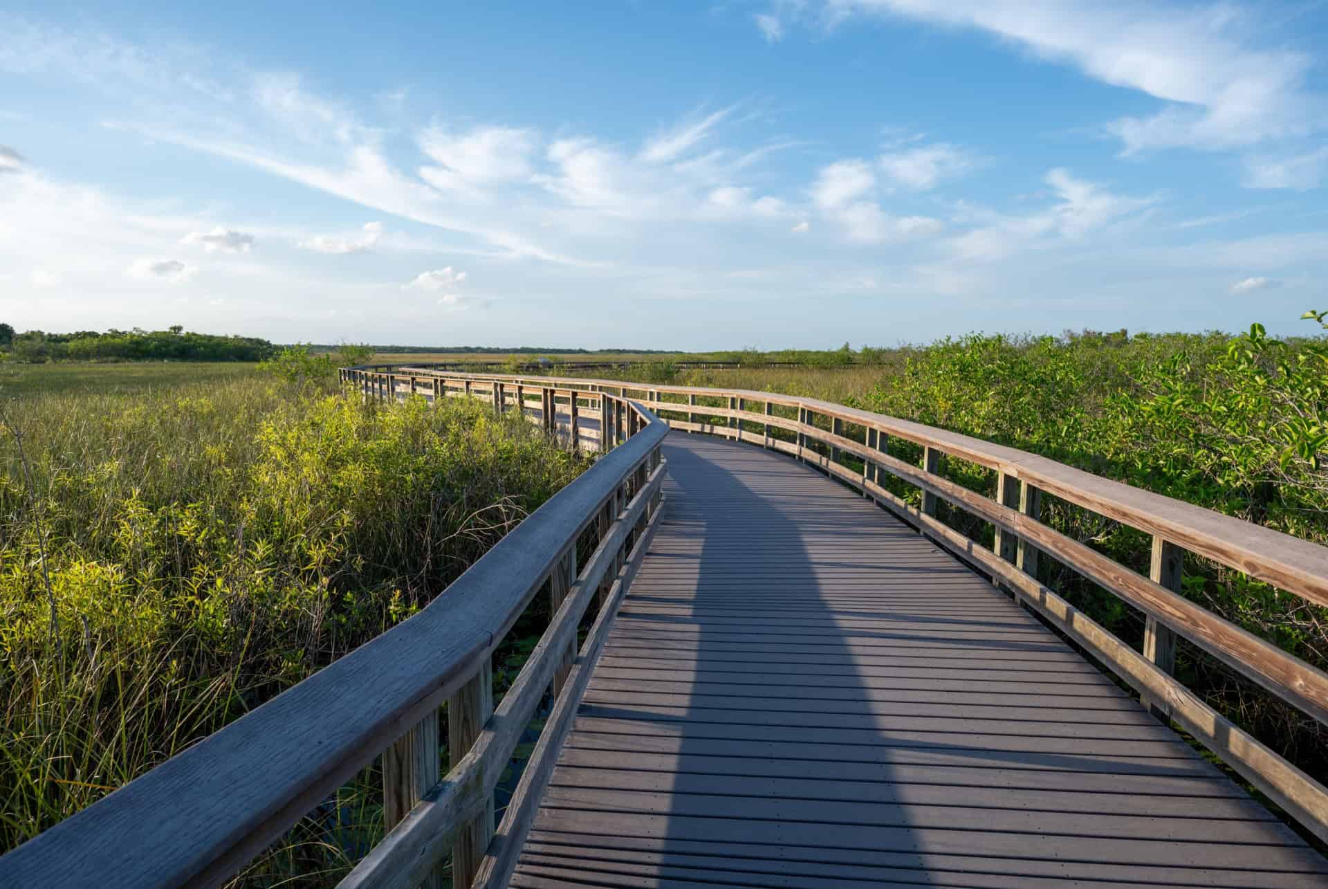 anhinga trail anhinga trail
