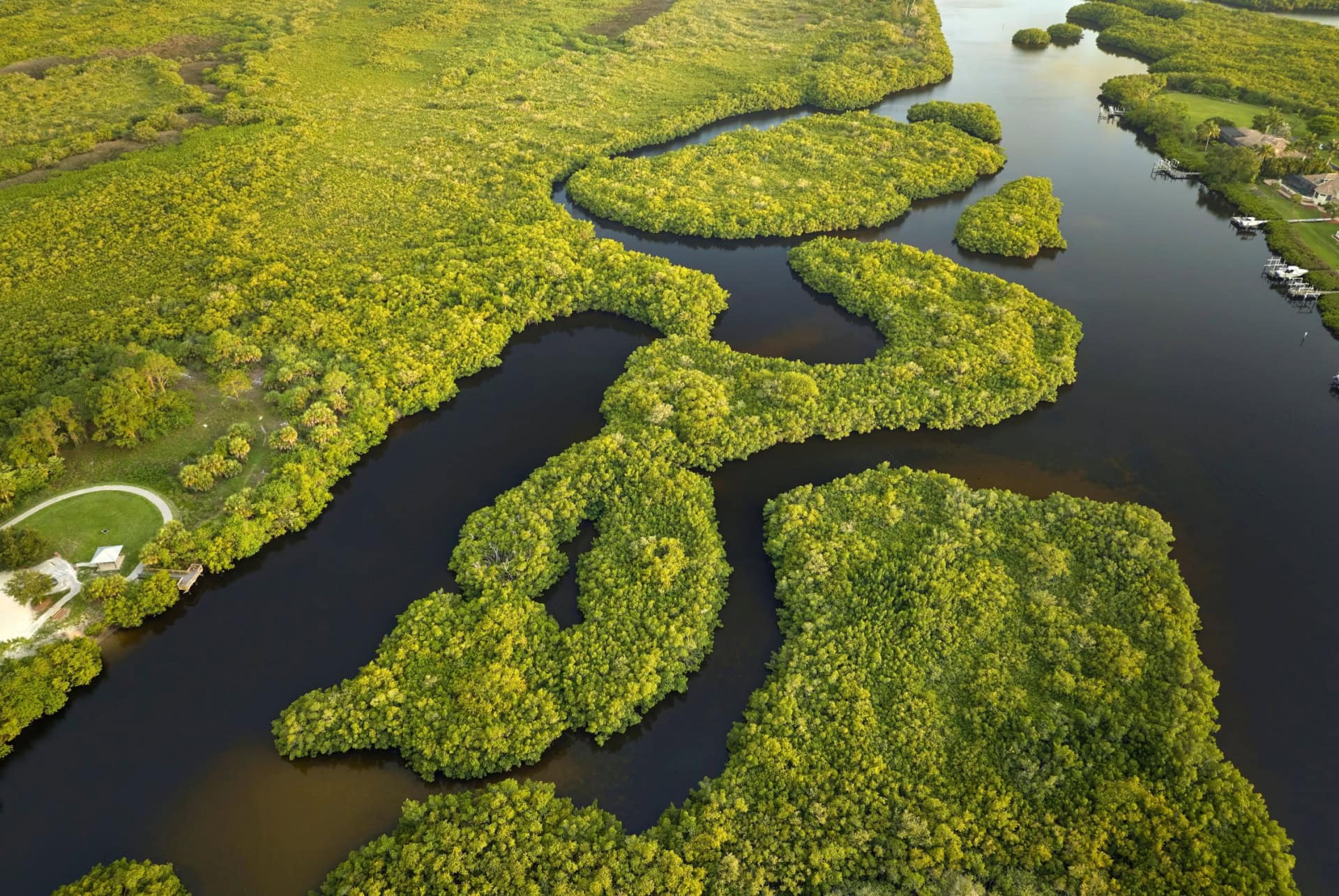 Parc national des Everglades