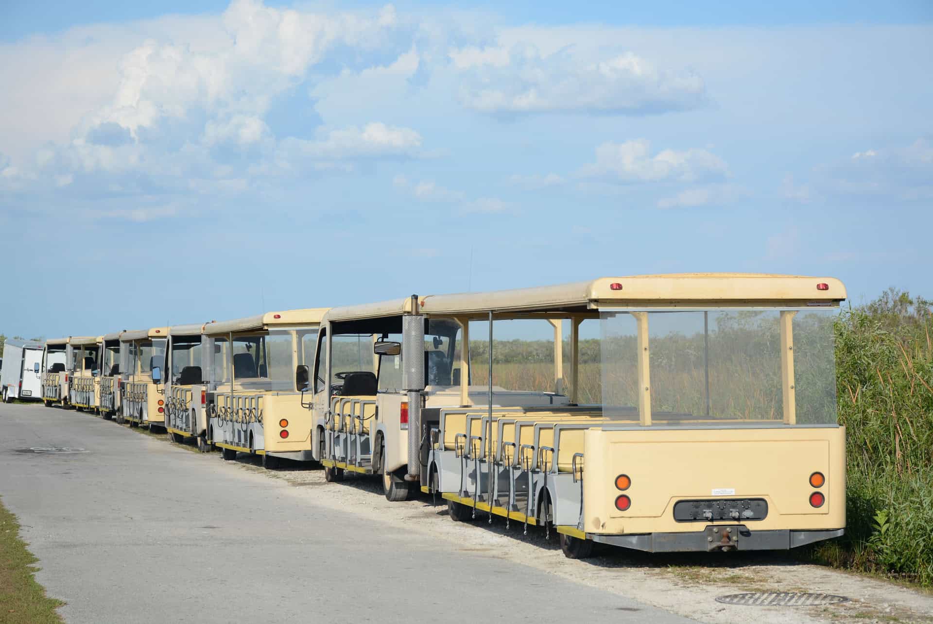 tram shark valley everglades tram shark valley everglades