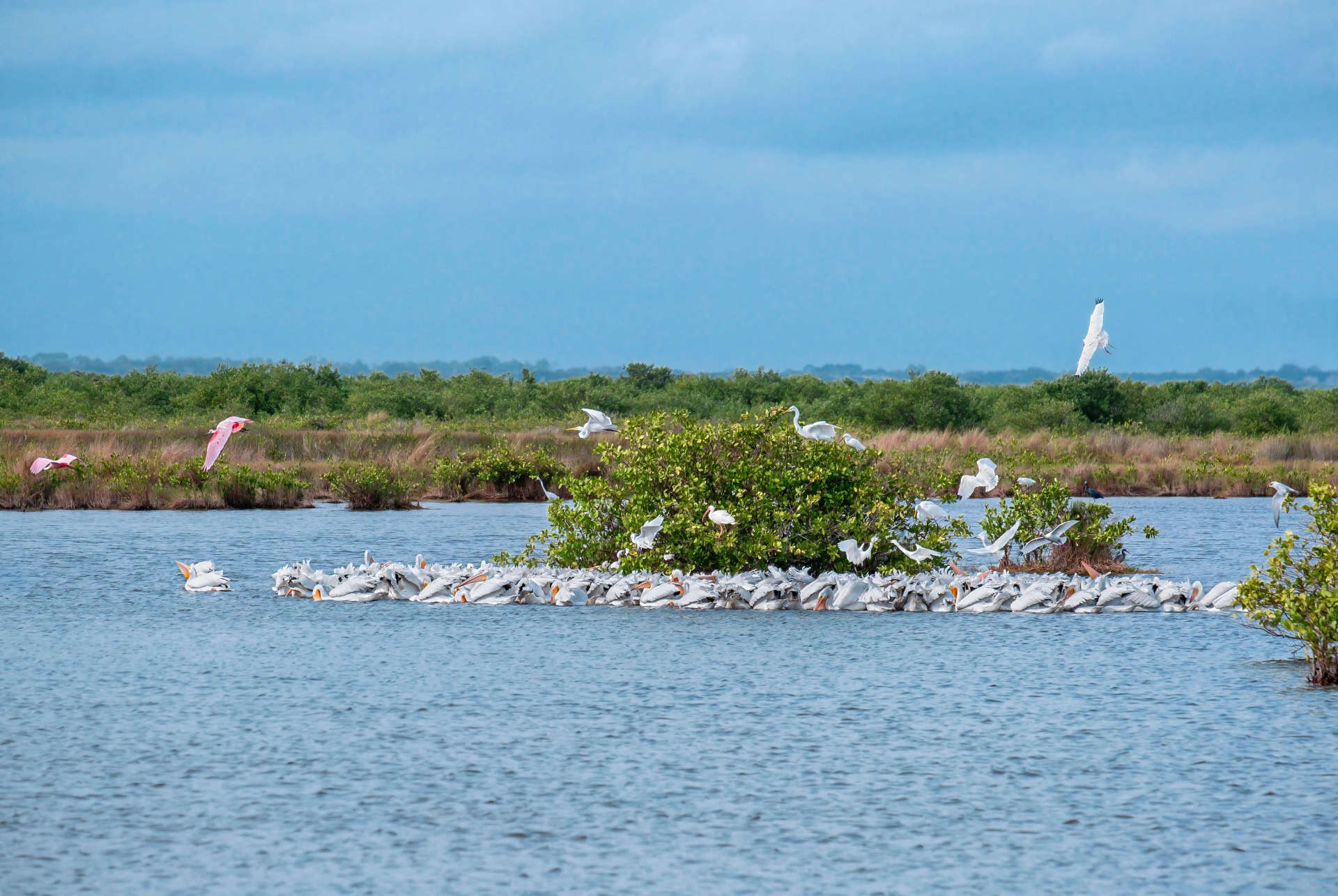 merritt island