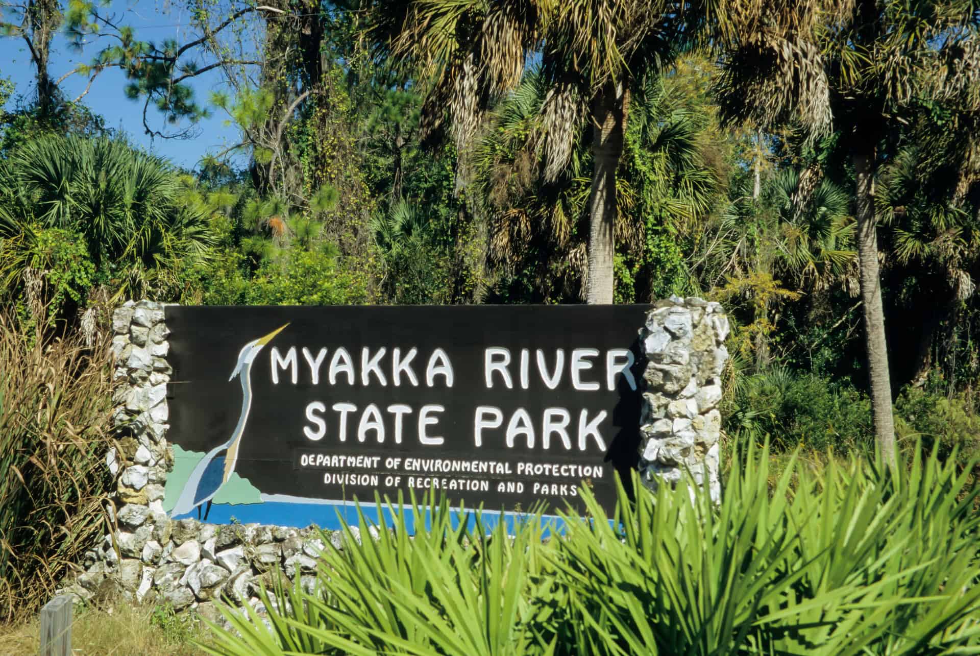 plus beaux parcs naturels myakka river