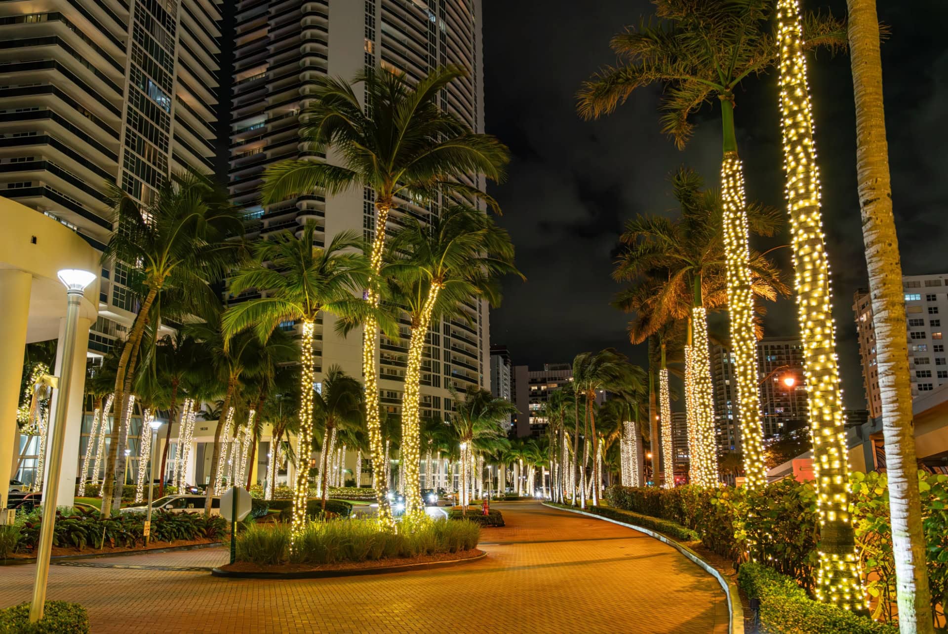 illumination noel miami