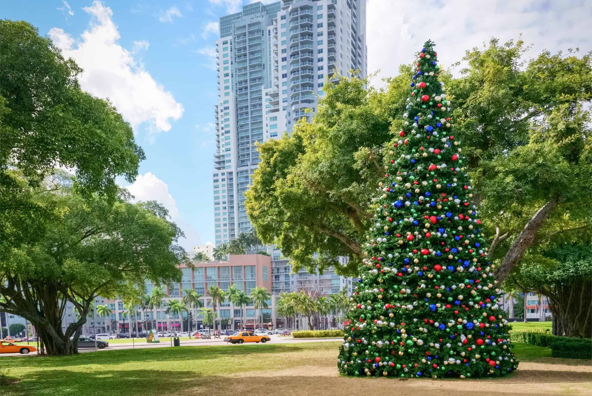 Miami en décembre