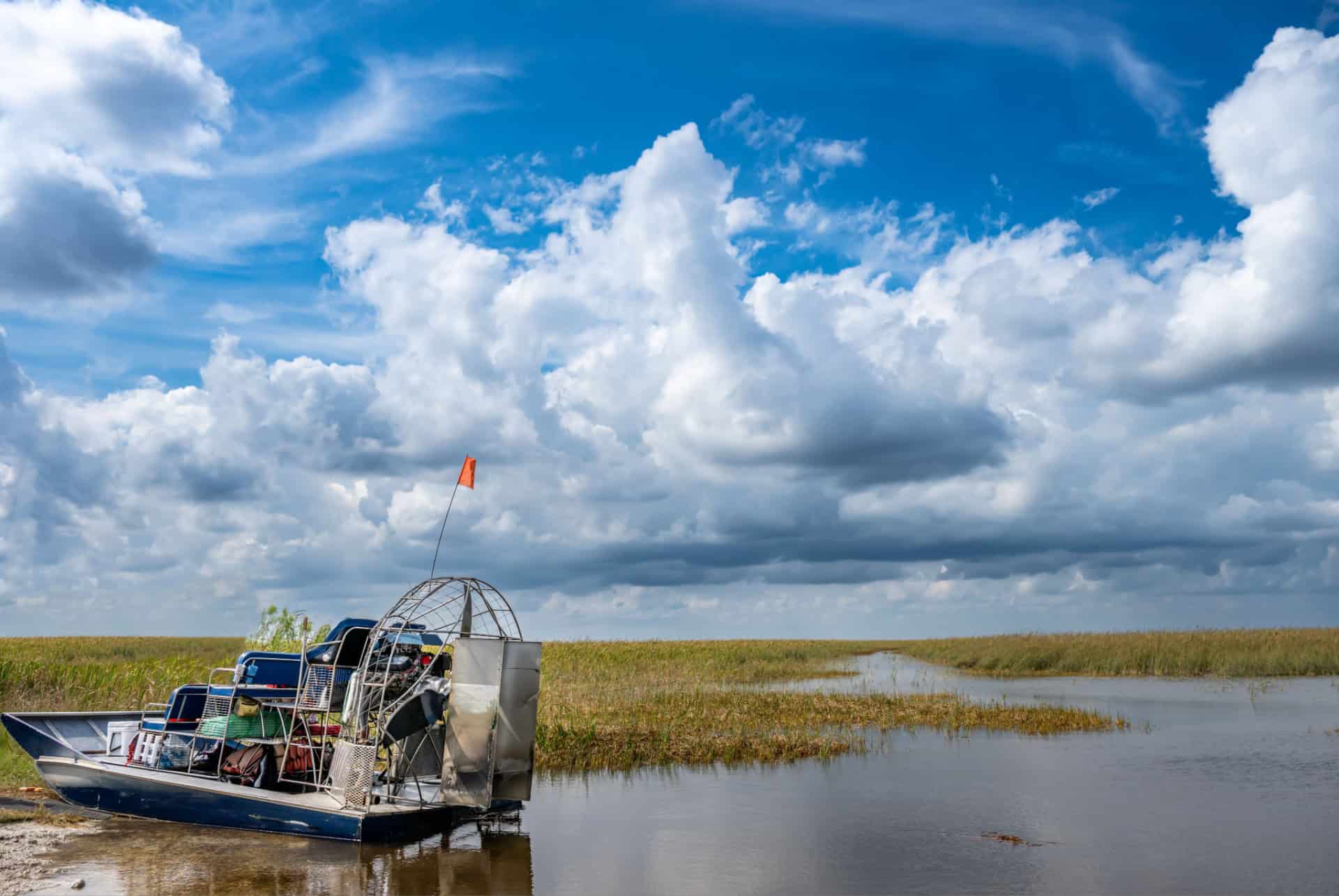 airboat everglades