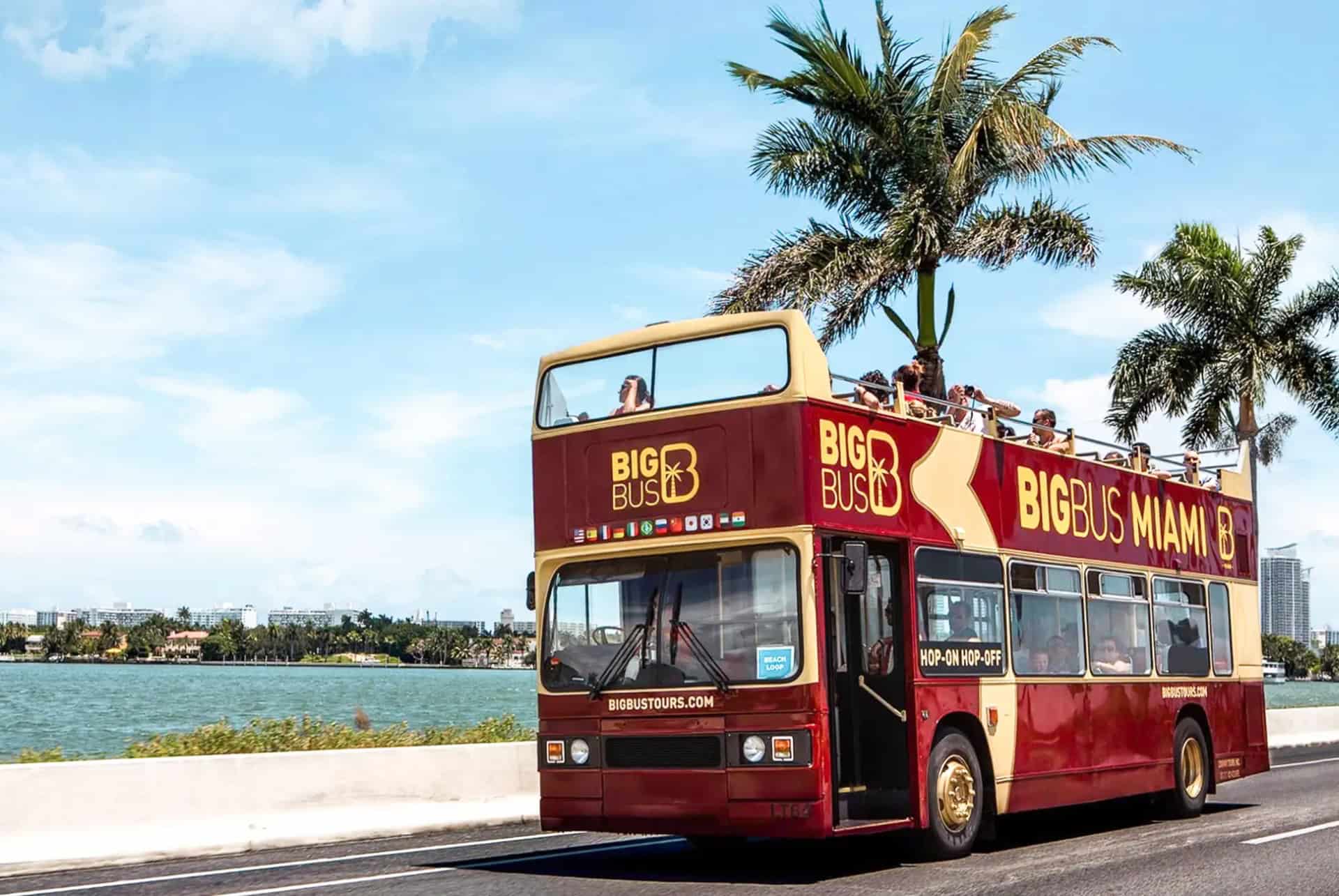 big bus a miami