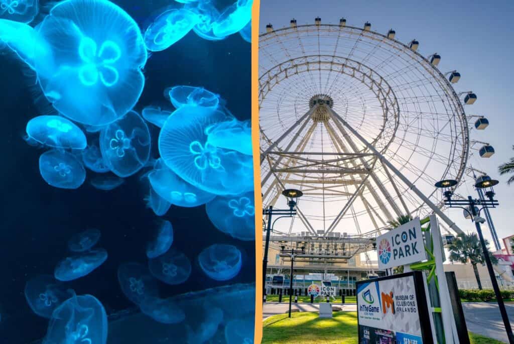 SeaLife Aquarium & Madame Tussauds & Orlando Eye