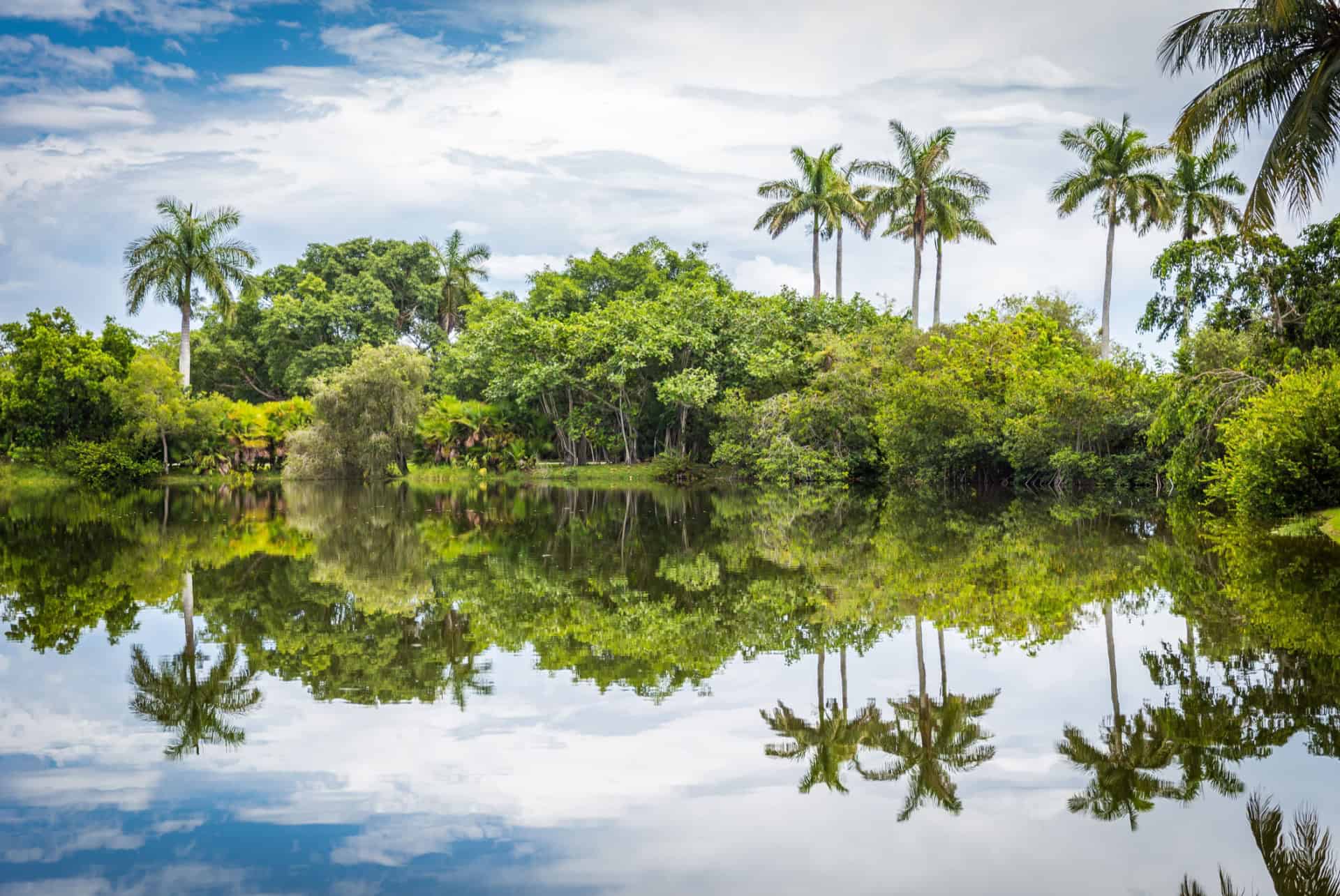 fairchild tropical garden miami novembre