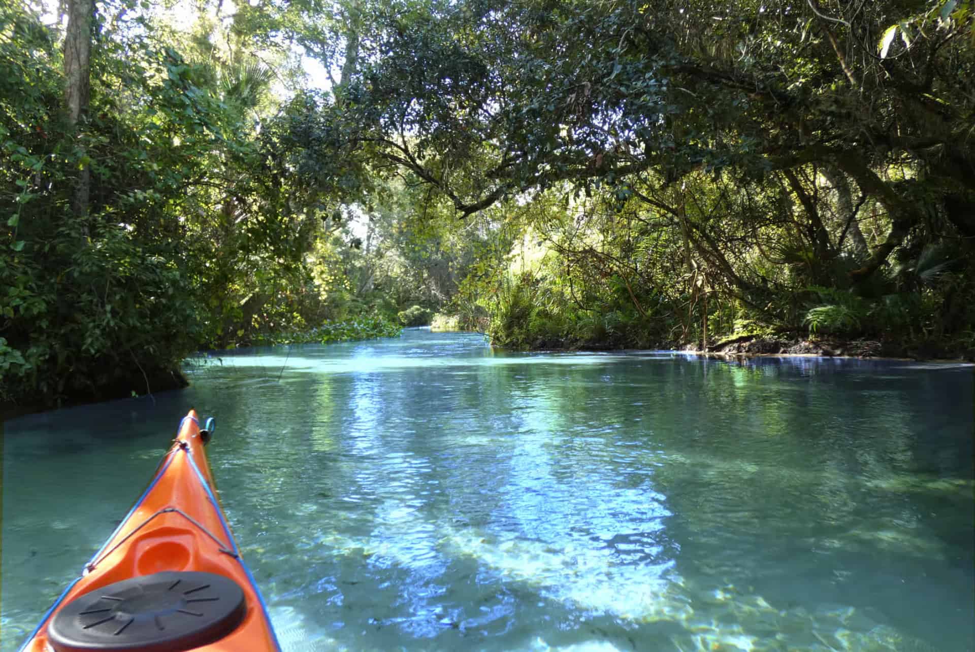 kelly park floride