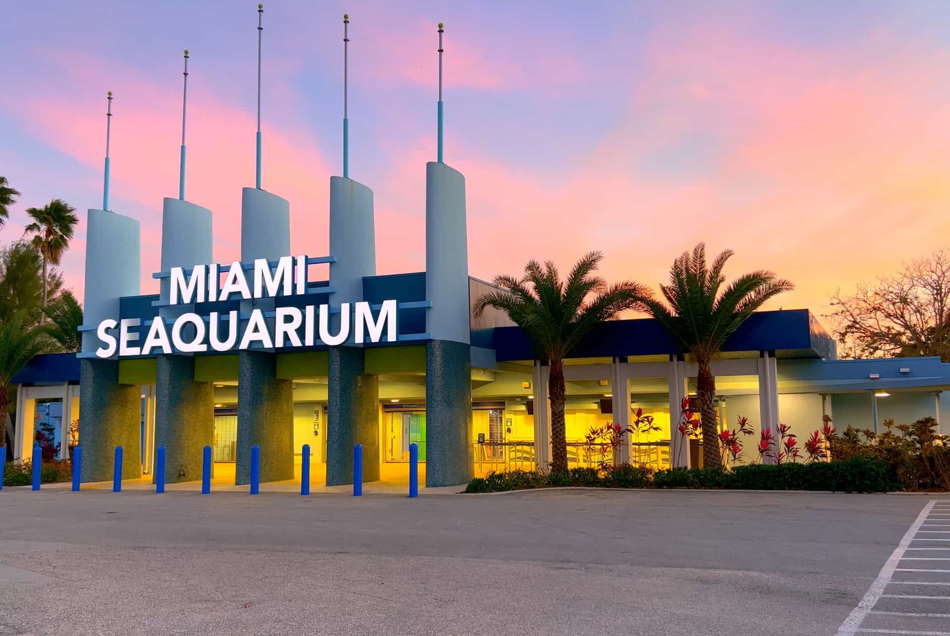 seaquarium que faire a miami