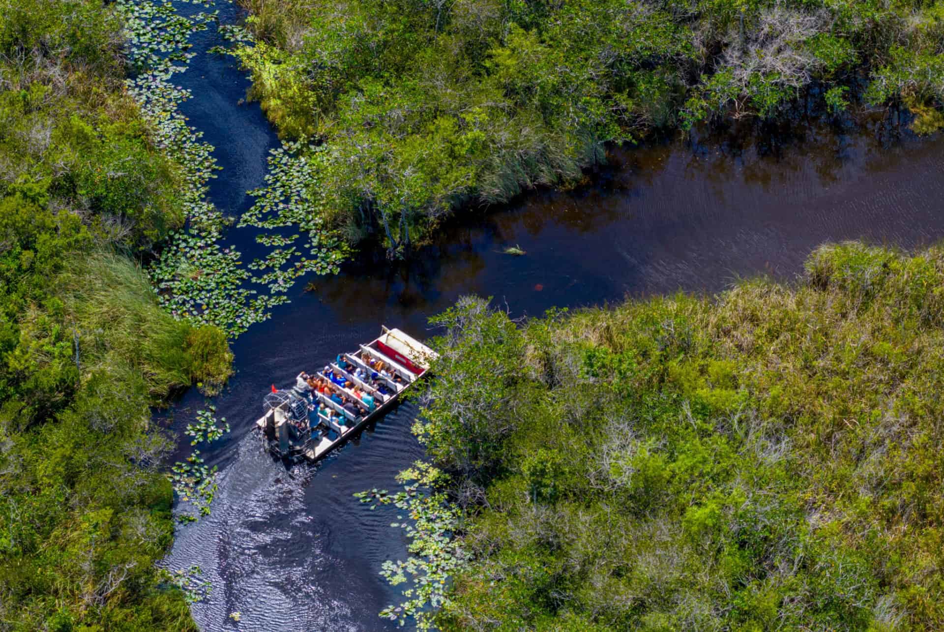 Visiter les Everglades depuis Miami