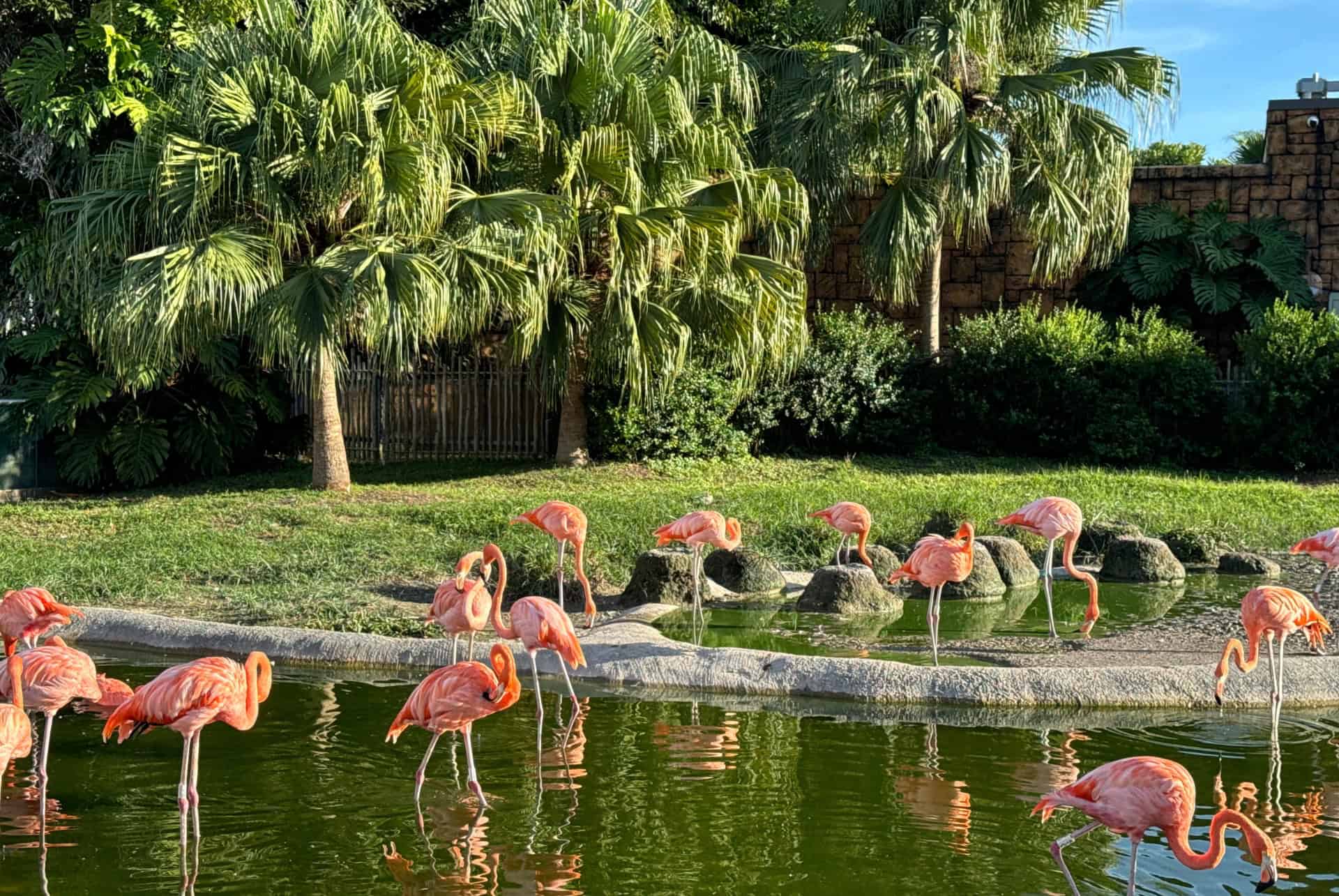 zoo de miami
