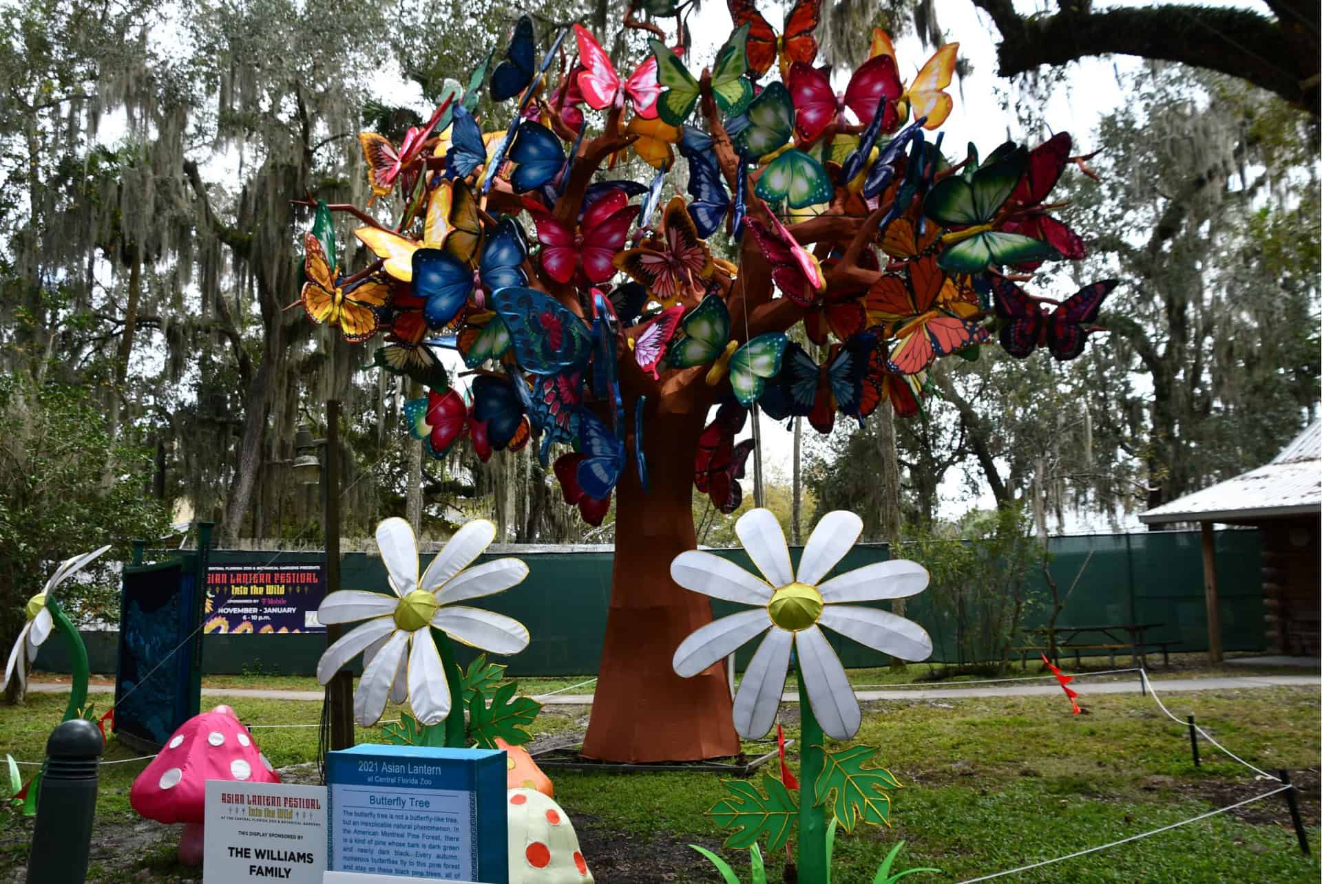 asian festival orlando