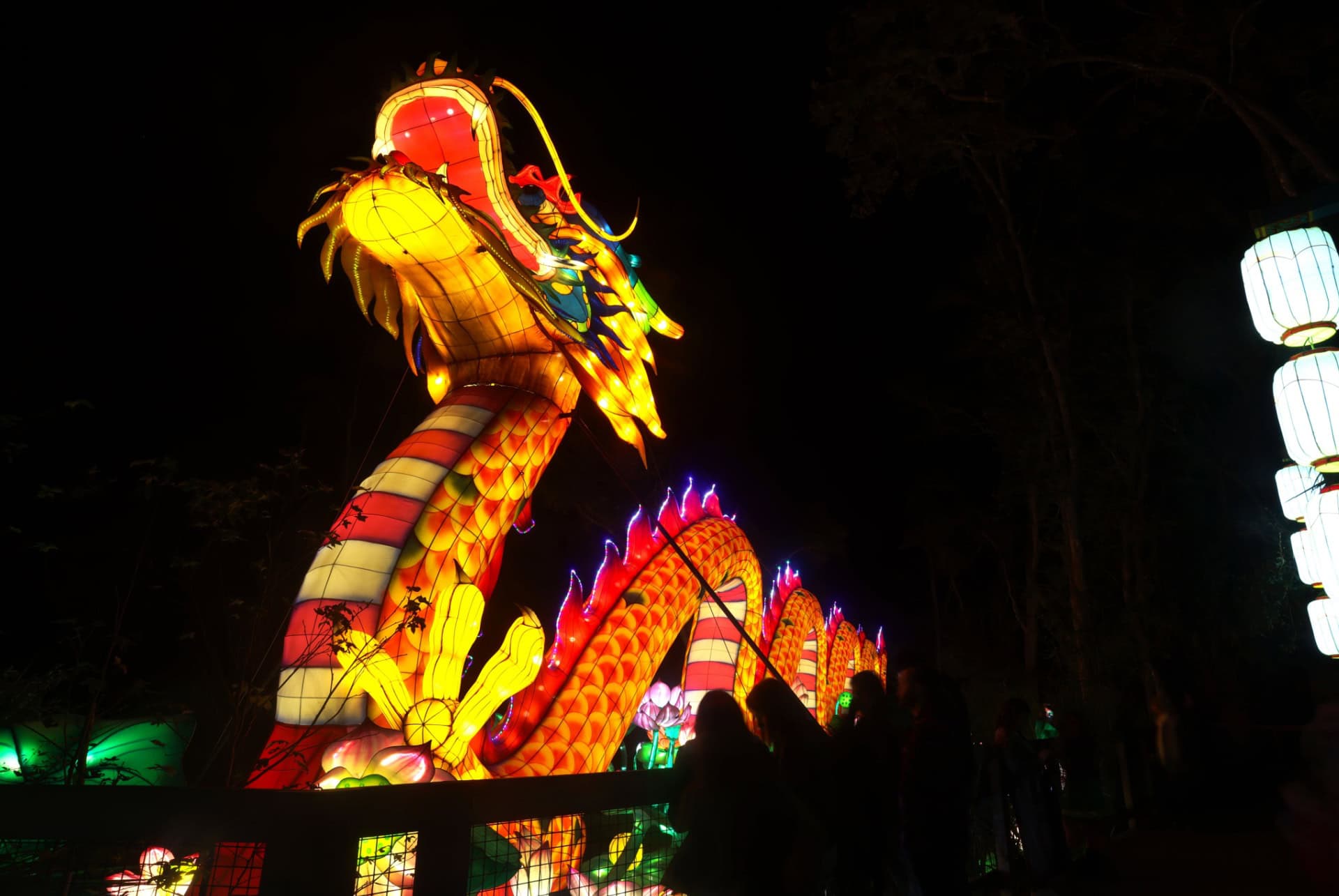 asian lantern festival orlando