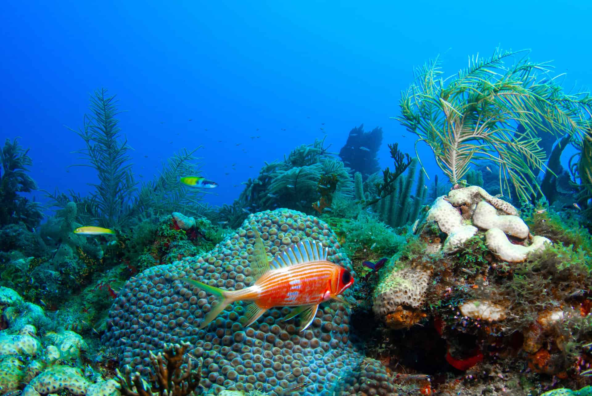 dry tortugas visiter les keys