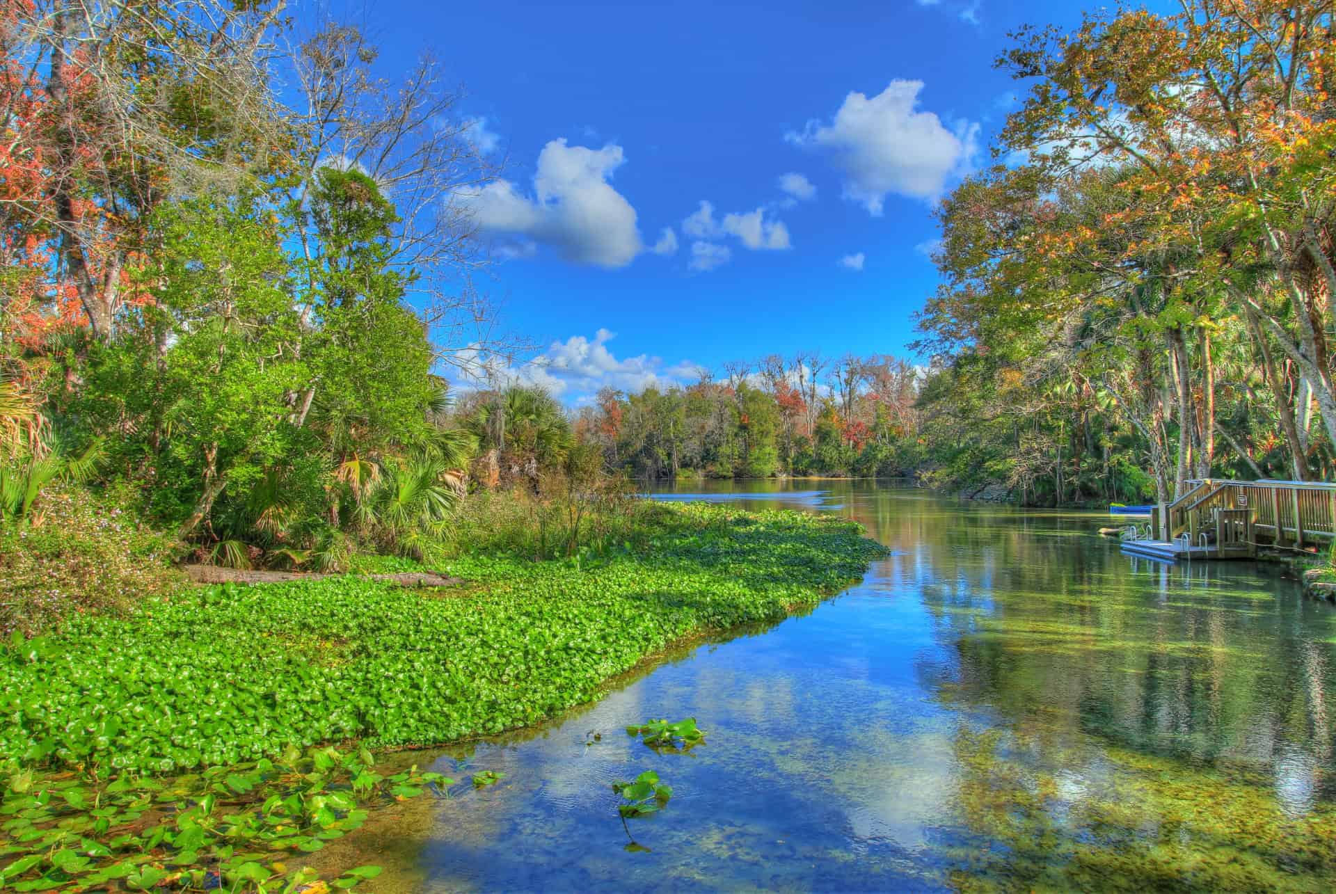 blue spring state park floride