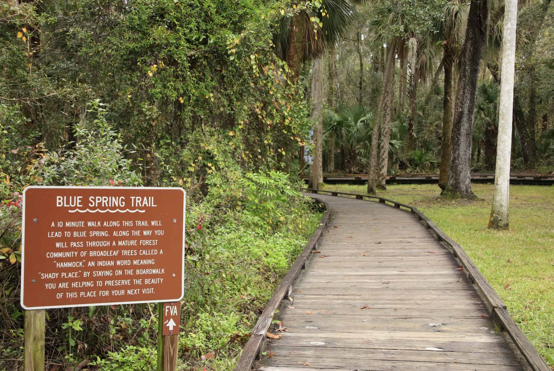 blue spring trail