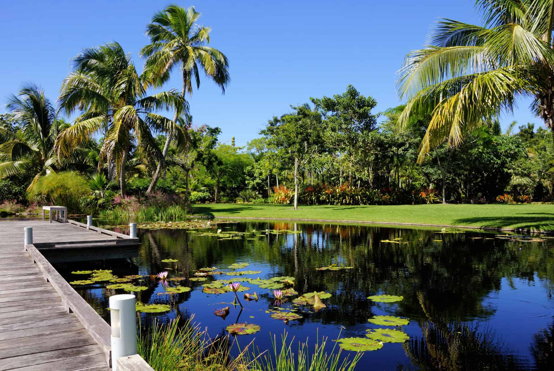 Le Jardin botanique de Naples
