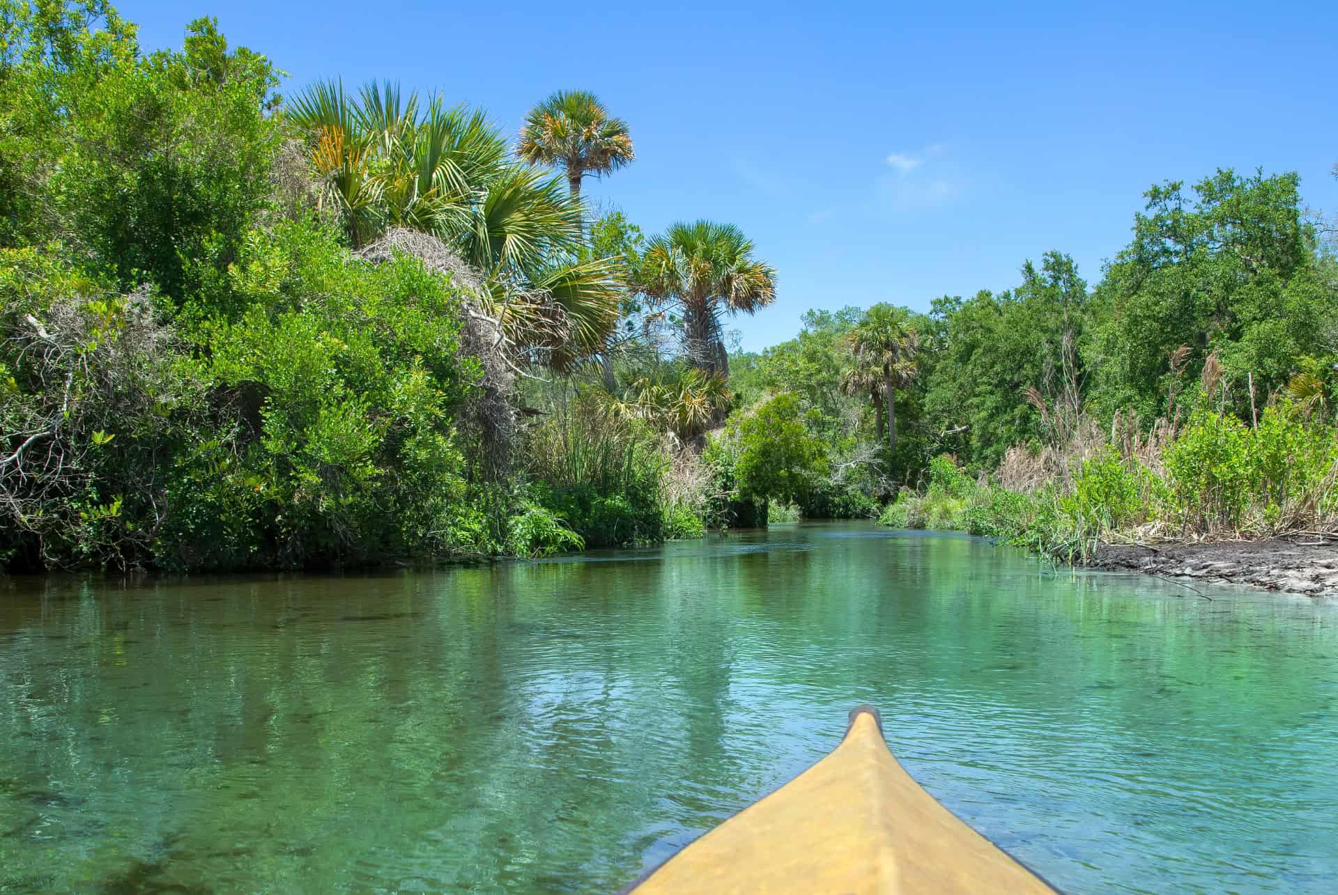 juniper springs kayak