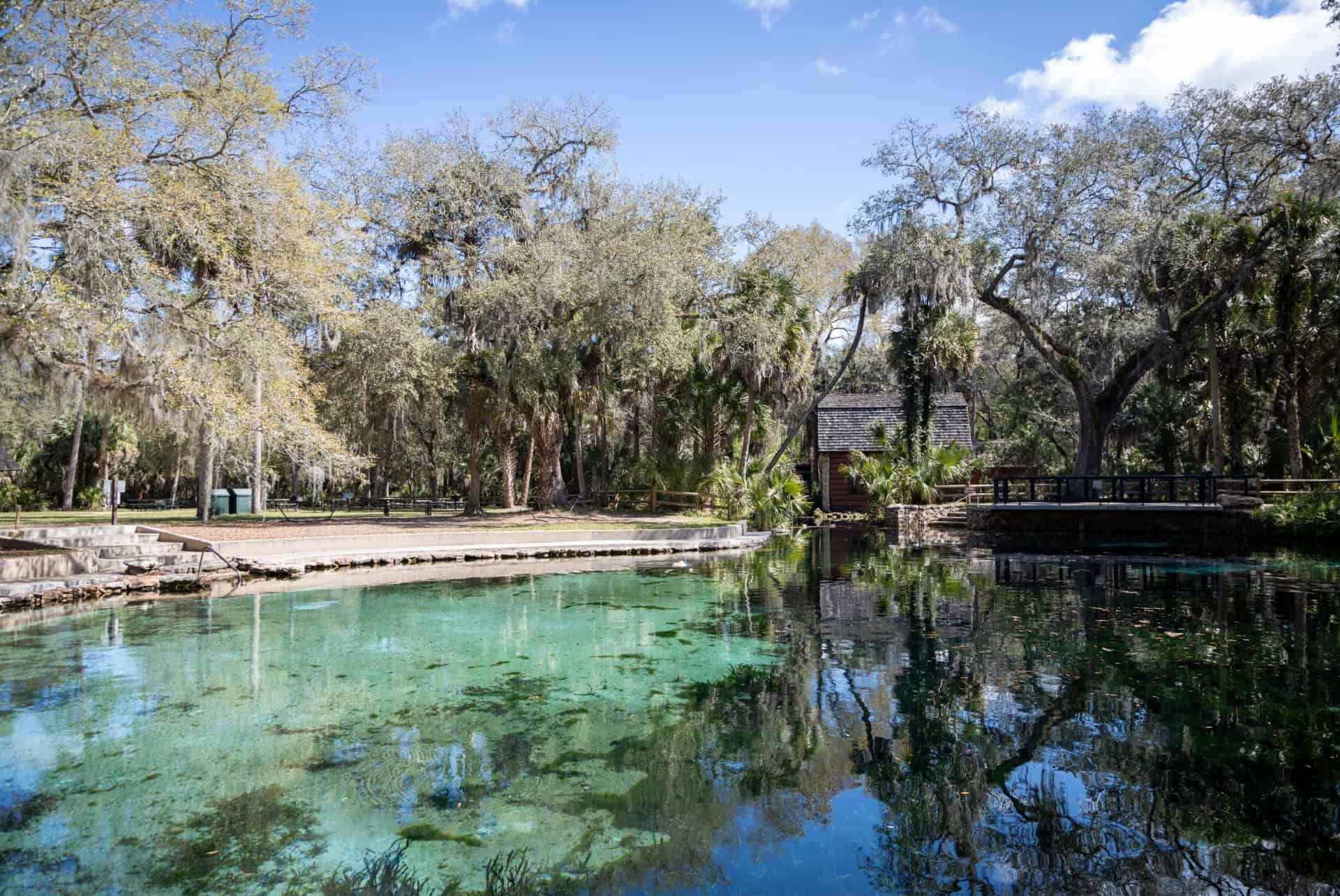 Juniper Springs