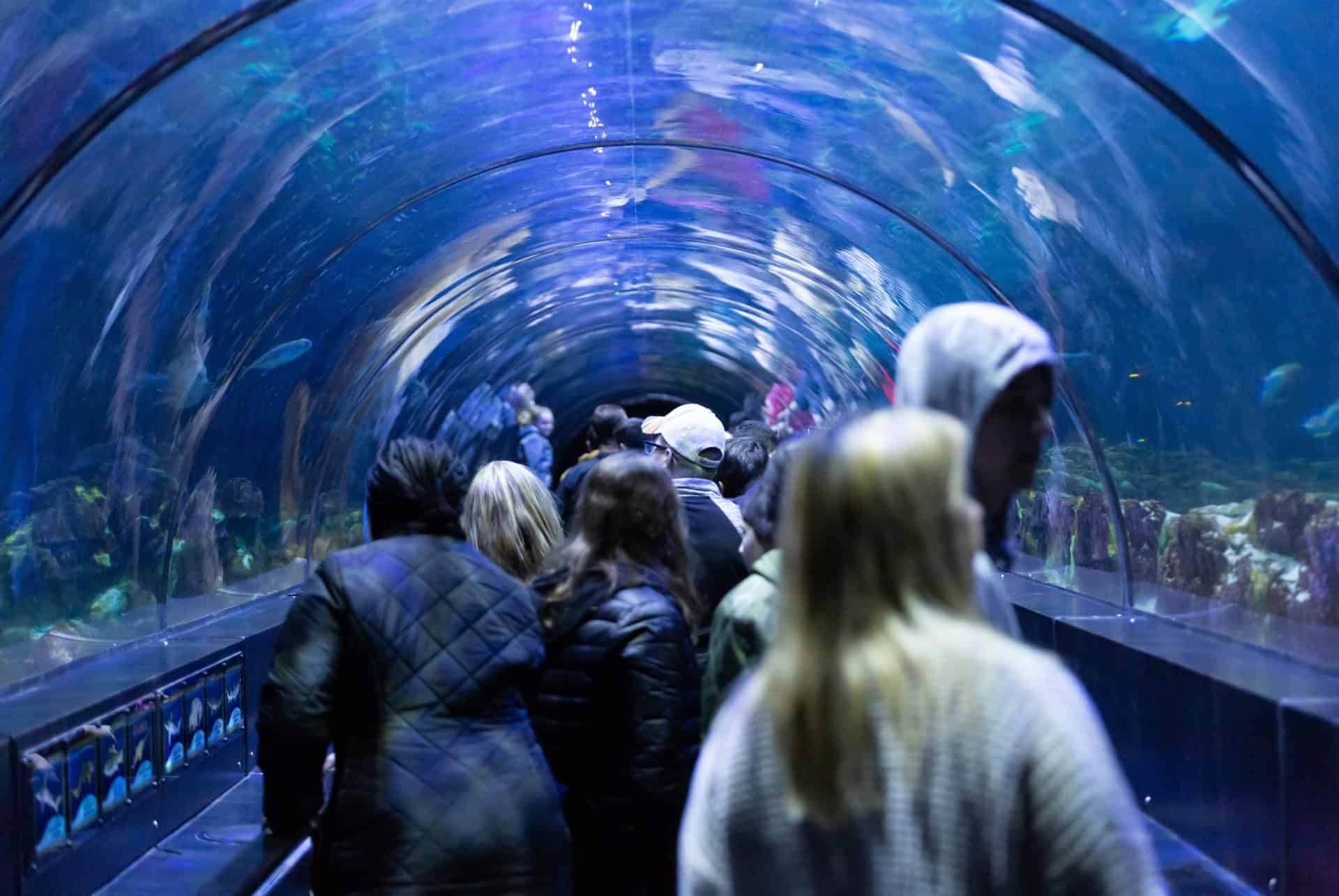 SeaLife Aquarium Orlando