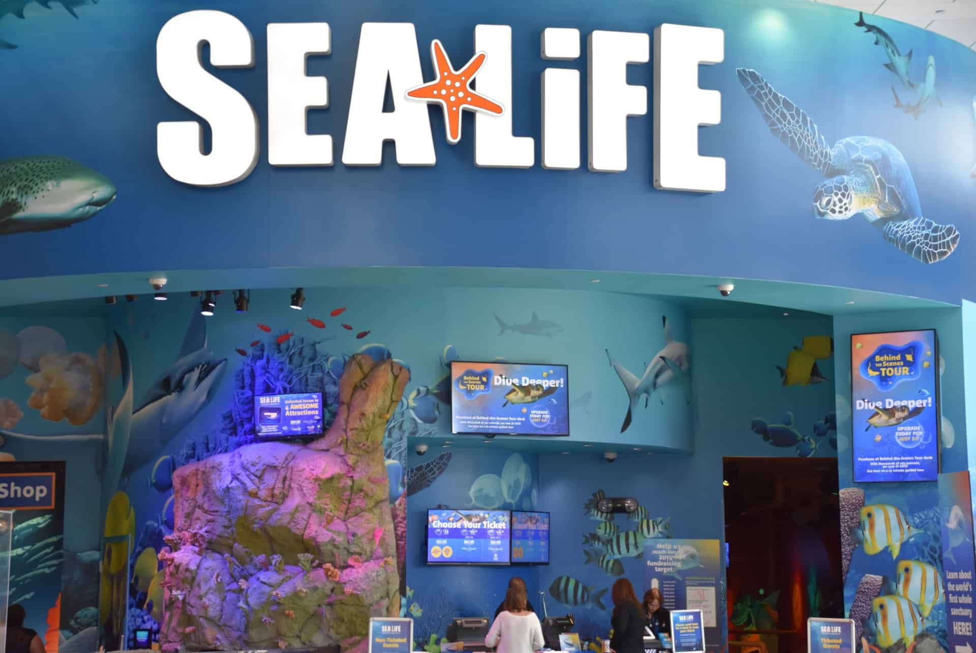 accueil sealife accueil sealife
