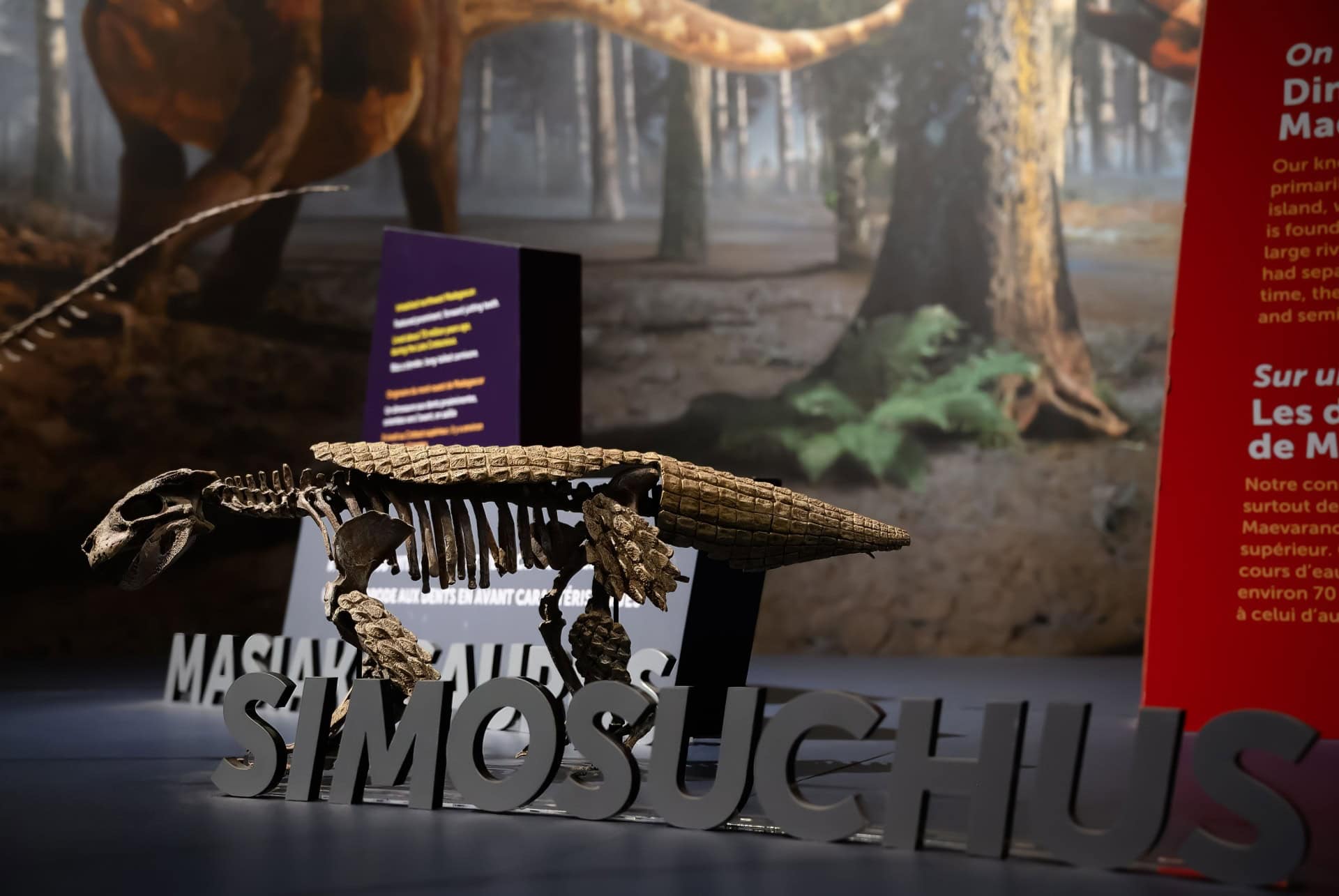 exposition dinosaures frost museum
