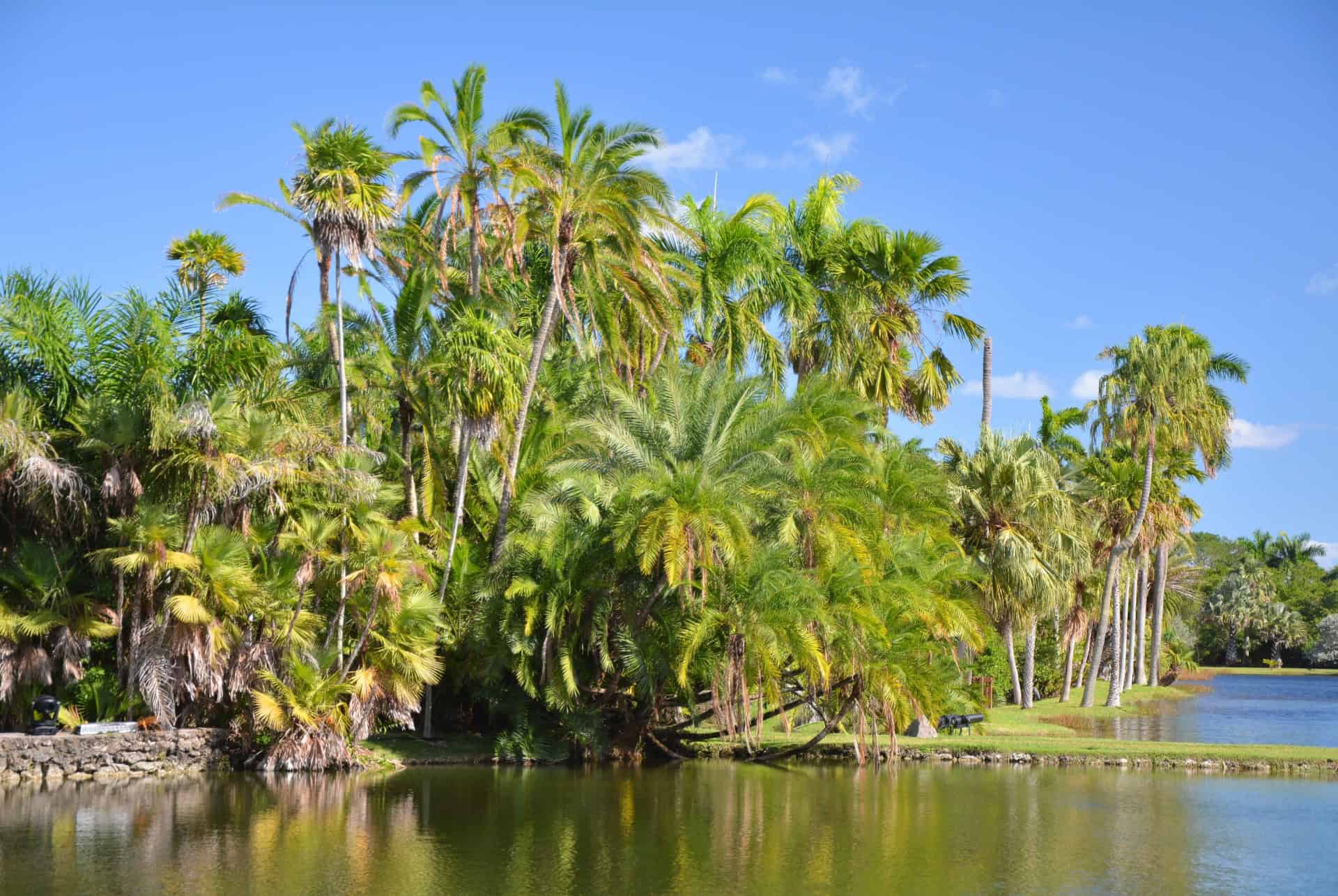 jardin fairchild miami en avril