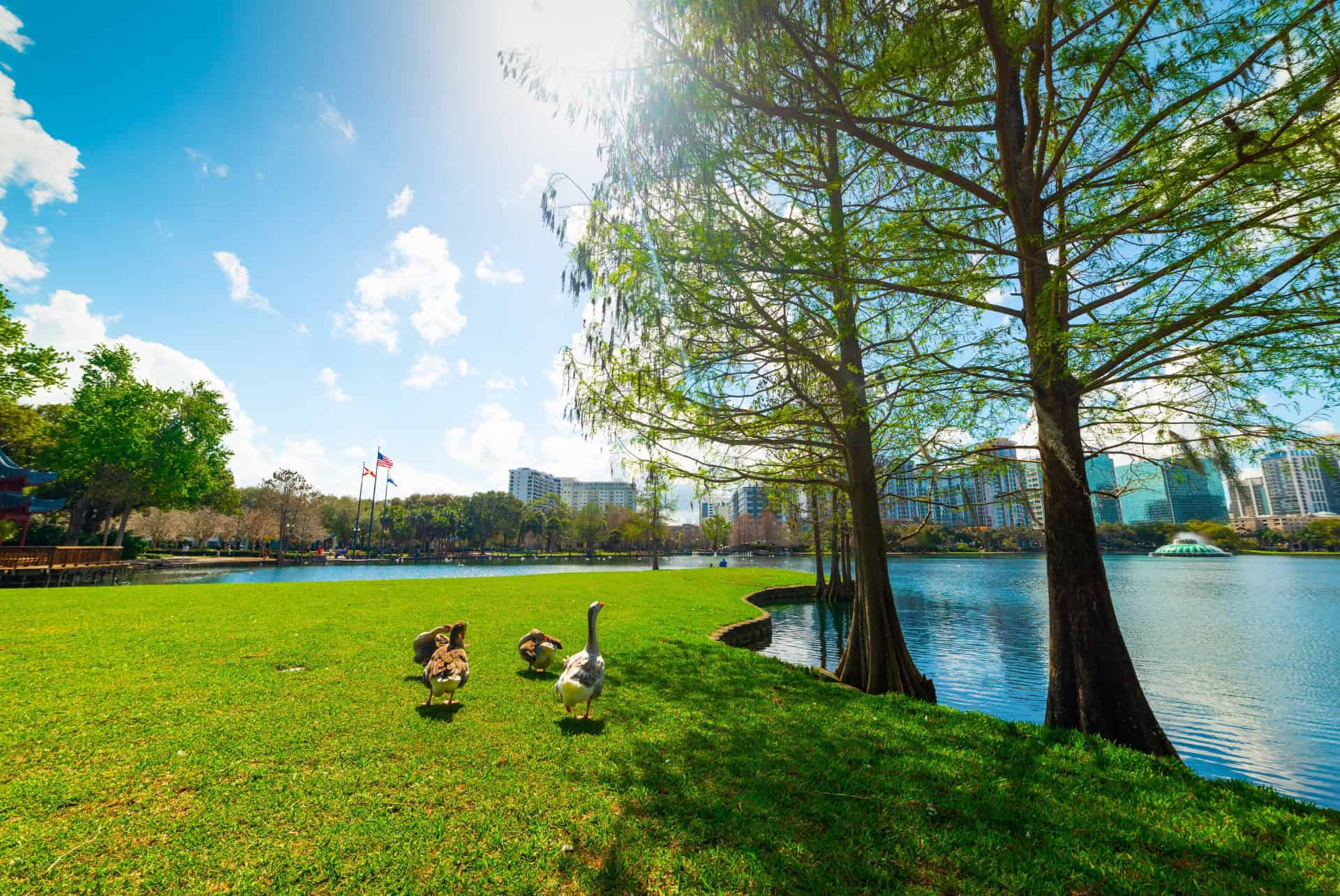 lake eola park orlando