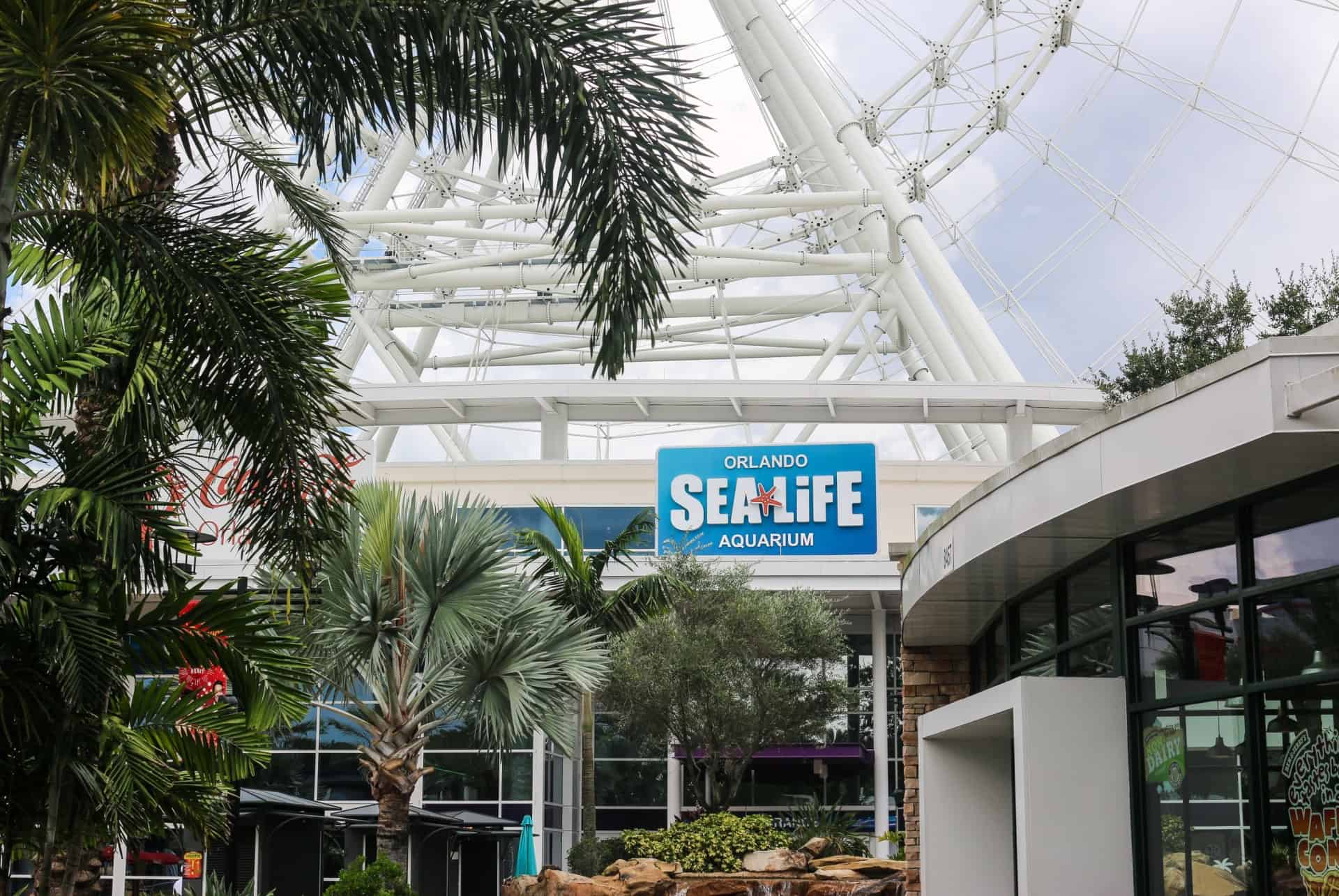 sealife orlando sealife orlando