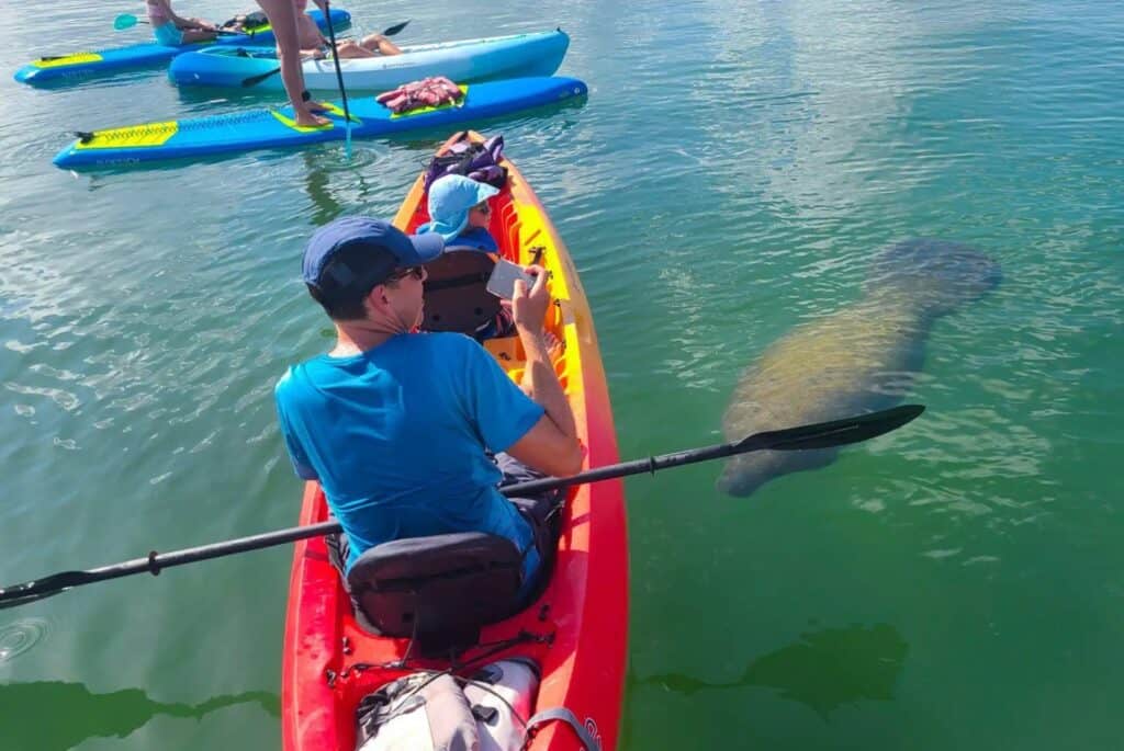 Excursion en kayak et paddle à Siesta Key