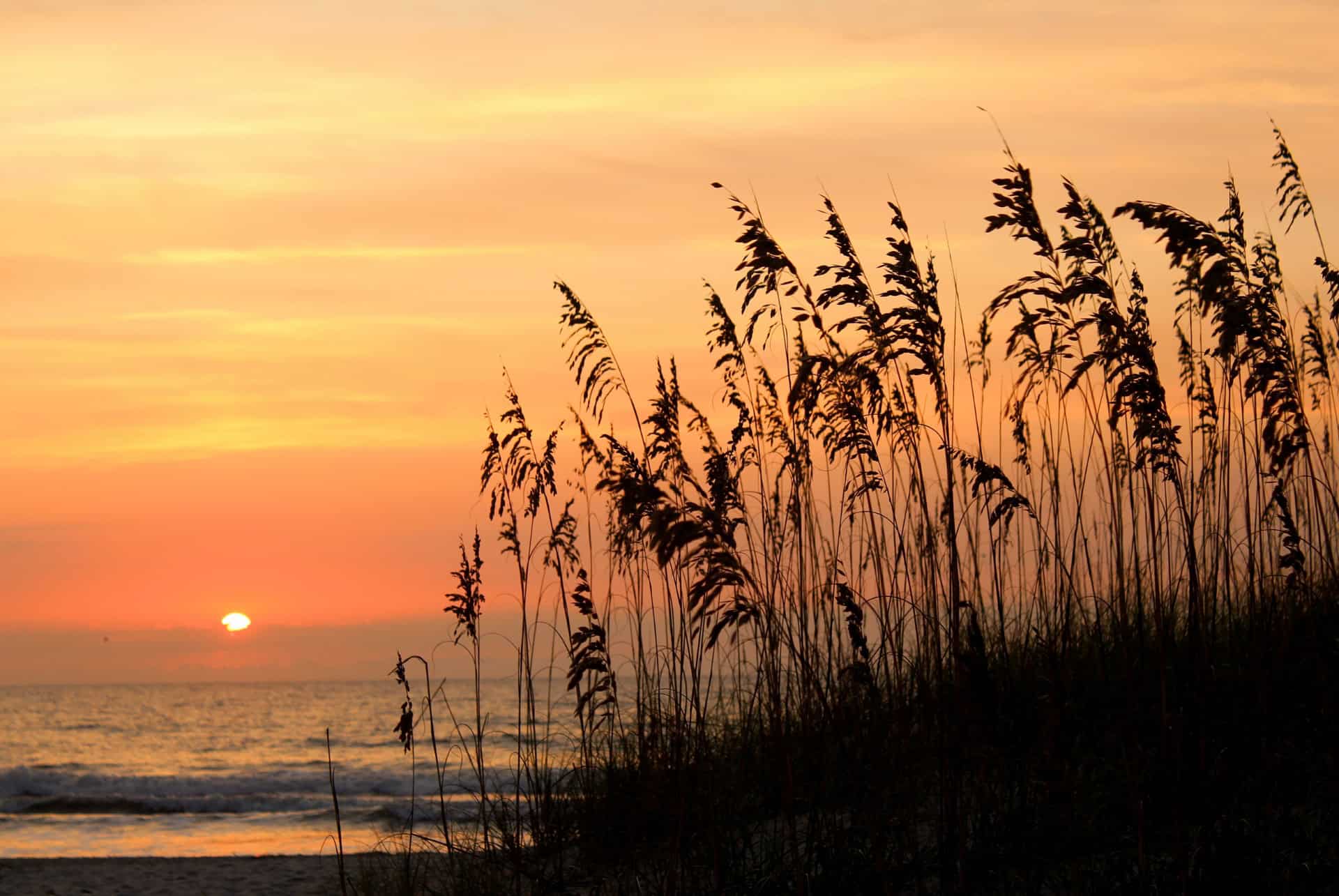 amelia island sun