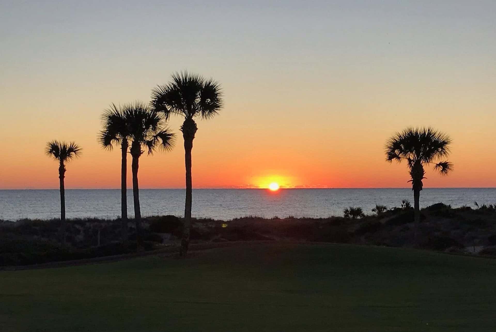 amelia island 