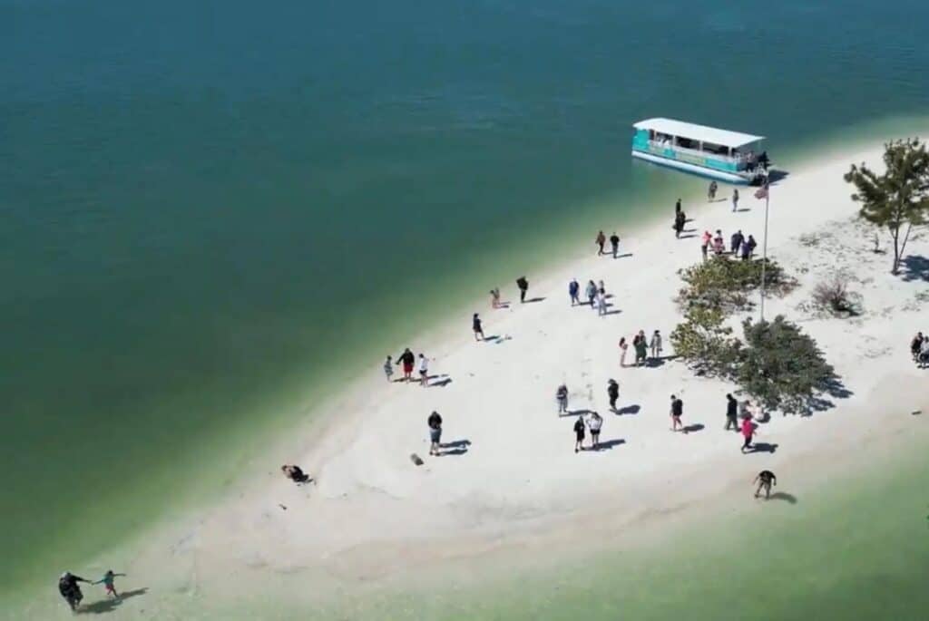 Croisière vers les îles Sandbar et observation des dauphins