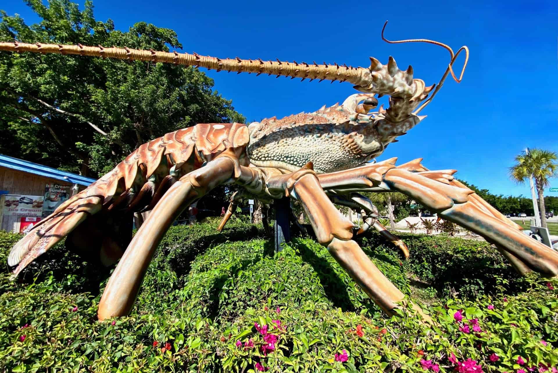 homard geant islamorada