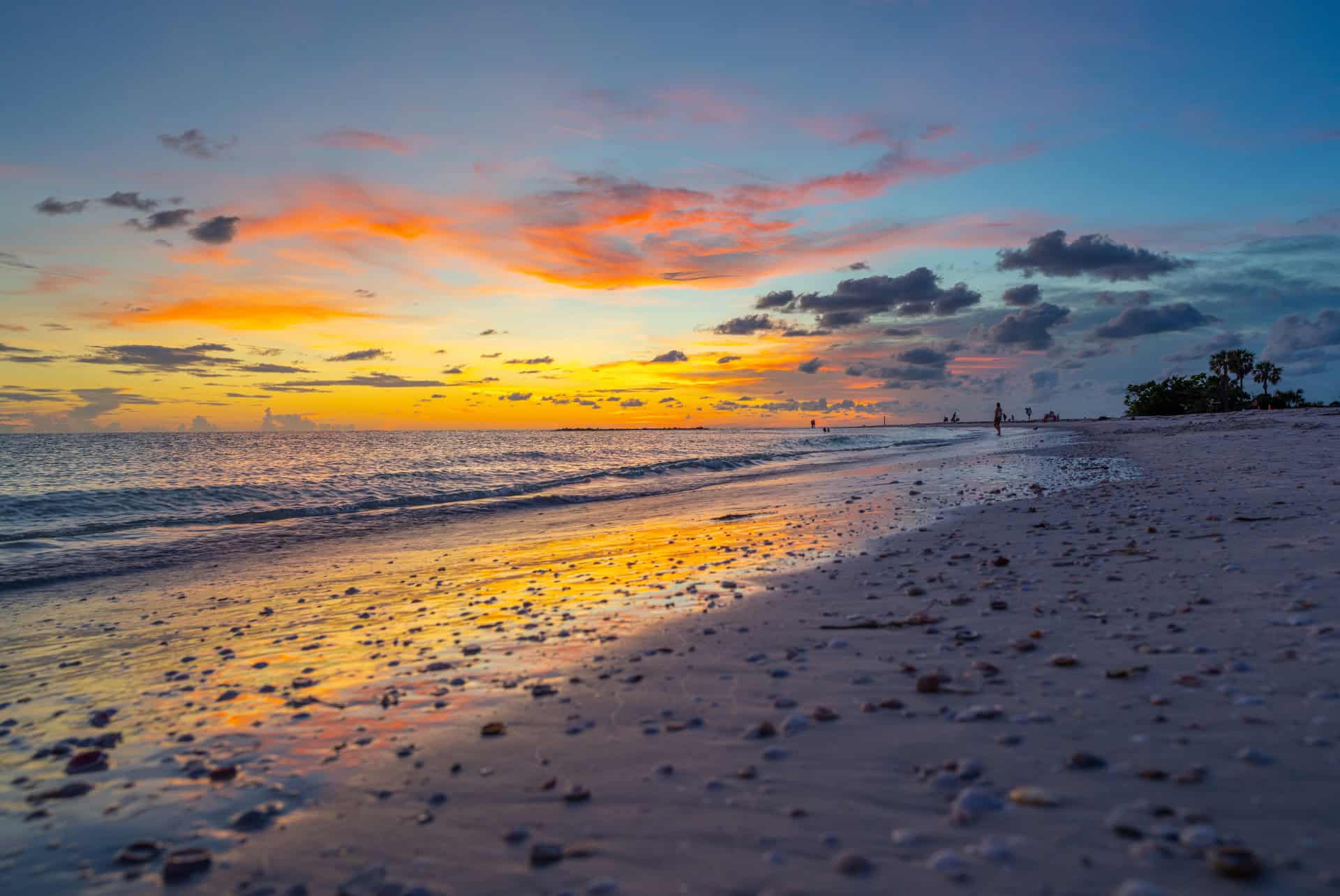 honeymoon island state park