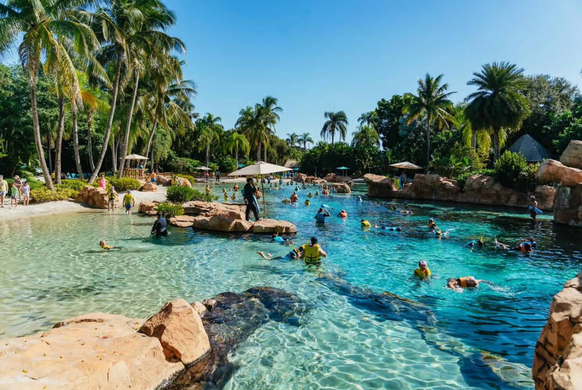 billet entree discovery cove et autres parcs