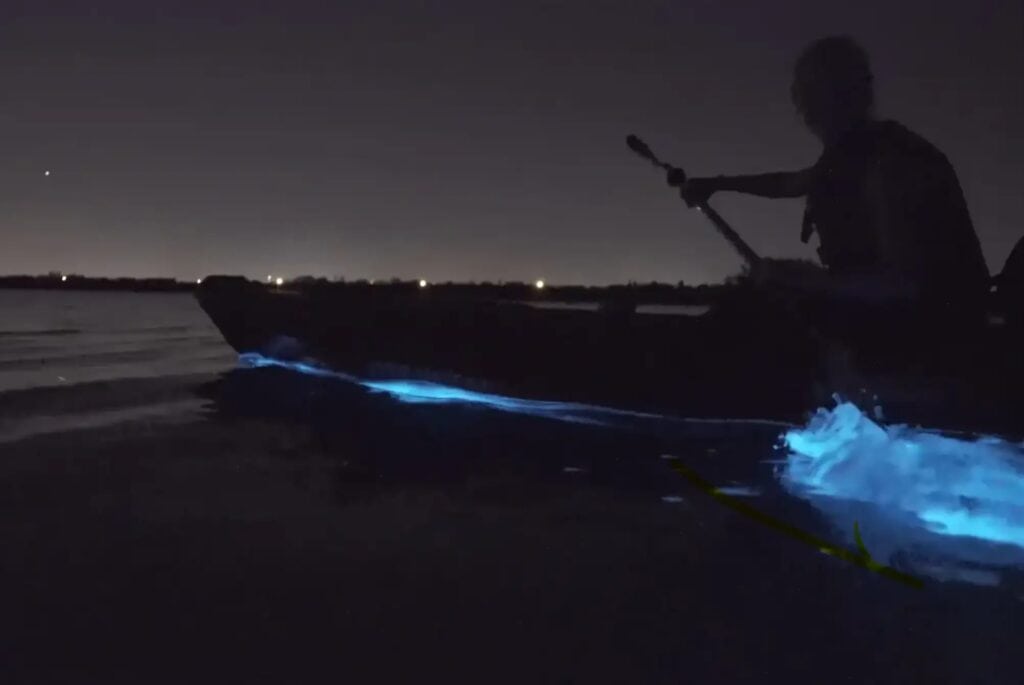 Excursion en kayak de nuit à Cocoa Beach