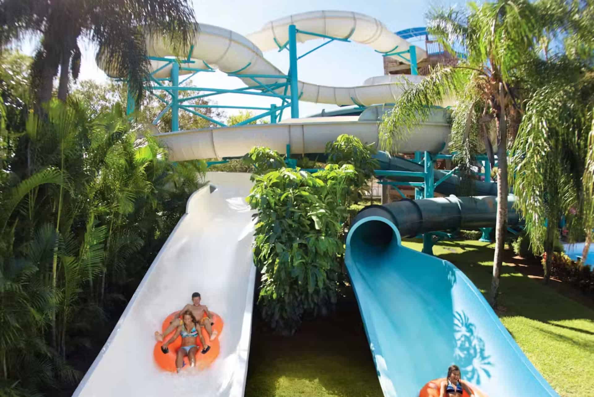 multi park pass free all day dining